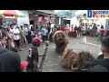 Download Lagu Bikin takut semua Sardulo Yakso Macan Jaranan Delta Wangi Songgon Banyuwangi Harimau cari makan