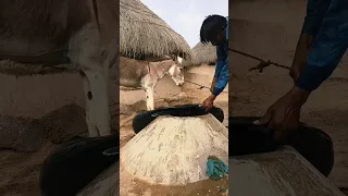 يقوم المالك بتفريغ أنبوب المياه والخزان من دلوه الخاص إلى داخل المنزل 