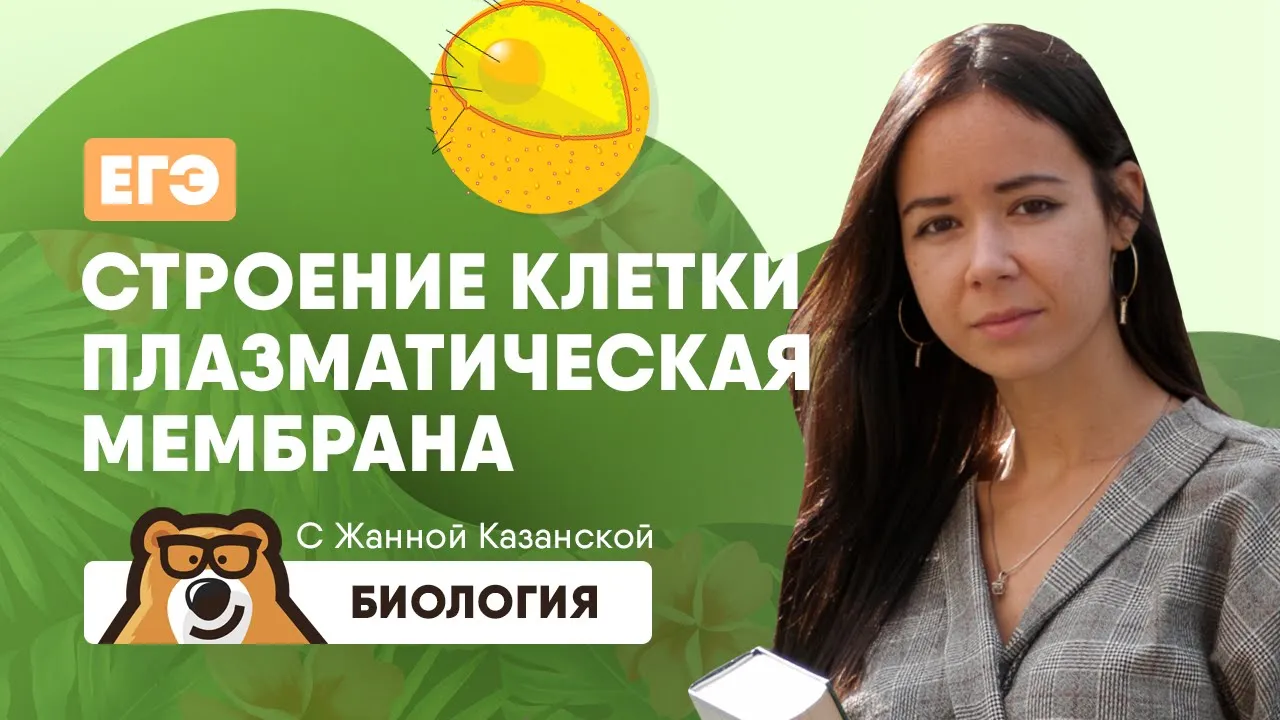 Строение клетки: плазматическая мембрана | Биология ЕГЭ | Умскул