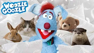 Die kuscheligsten Tiere l WOOZLE GOOZLE
