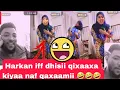 Download Lagu Oro funny 😁 Zamano Urjii dhukee irra kasee 🤣🤣🤣Rahaa tessan fudhaadha 