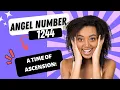 A Time Of Ascension Angel Number 1244 Numerology 1244 Spiritual Meaning 1244