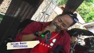 pantun cinta delima music