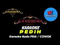 PEDIH KARAOKE NADA PRIA / COWOK
