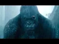 Download Lagu Tarzan Saves Akut - The Legend of Tarzan (2016) Movie Clip HD