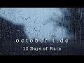 Download Lagu October Tide - 12 Days of Rain (lyric video)