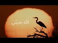 Donia Samir Ghanem - Allah y3enny |  2026 |  دنيا سمير غانم - الله يعينّي من ألبوم الدلال - Donia Samir Ghanem