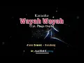 Download Lagu Wayah e wayah tone cewek karaoke