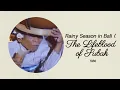 Download Lagu “Rainy Season in Bali (1986) – The lifeblood of Subak in rice farming.