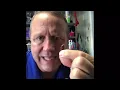 Cockroaches in Florida who are they and where do they live