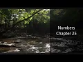The Book of Numbers Chapter 25 - New King James Version NKJV