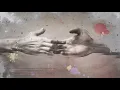 Robert Ray - Break My Heart All Over Again (Official Lyric Video)