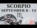 Download Lagu ♏ SCORPIO | Sept 8–14 ✨ A Blessing Is Yours 🕊️ Patience, Power \u0026 Purpose Align 🌙💖