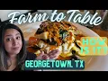 A Look at Blue Corn Harvest Bar and Grill in Georgetown Texas