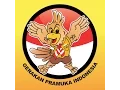 Download Lagu musik senam pramuka tanpa hitungan