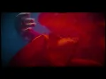 Ross Quinn - Away With Me