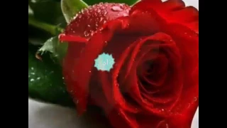 اجهر بها وبسكوت دندنها