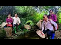 Download Lagu Ingenieur Hung en Tieu Vy's reis naar het bos | Het geheim achter de bamboebomen
