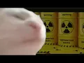 Acid Cat