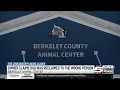 Family Berkeley Co animal shelter at odds over pet ownership