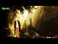 【治愈系純音樂】蟲師全主題曲合集