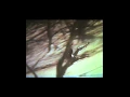 POWER/LAND Trailer I