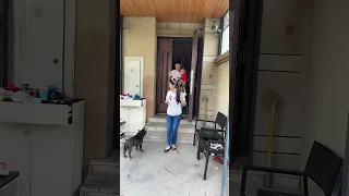                     دندنها