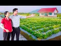 Lagu Single Mother Tu Tien Receives a Farm as Unexpected Gift from Kind CEO