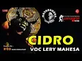 Download Lagu Lagu Ini Bikin Baper - CIDRO (Wandra) Cover LERY - MAYANGKORO ORIGINAL Live Ponggok Blitar 2019