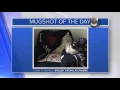 Mug Shot of the Day - Shelby from La Crosse