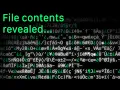 The END of The Minecraft Code No One Has Solved almost