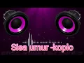 Download Lagu sisa umur -koplo
