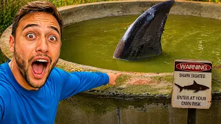 Encontrei um Monstro Gigante Vivendo nesse Lago Abandonado