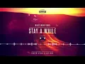 Dimitri Vegas & Like Mike - Stay A While (Magic Wand Remix)