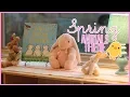 Setting up the Toddler and Preschool Classroom with a Spring Animals Theme