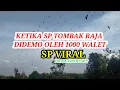 SP TOMBAK RAJA PUNYA KELEBIHAN DISUKAI ANAK WALET