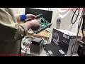 Harbor Freight Cobra 4K NVR Wired System - How big D supported