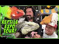 CHARLOTTE REPTILE EXPO TOUR All American Reptile and Plant Expo