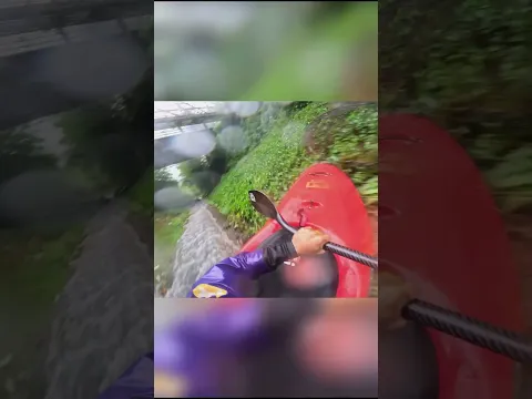 this kayaker did not expected what happened to him