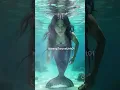 Download Lagu Did a Real Mermaid Appear in Maluku? #Mermaid #Maluku #IndonesiaMystery #Folklore #Legend