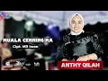 ANTHY QILAH | MUALA CENNING NA | CIPT. MR IWAN ( live musik AR sound )