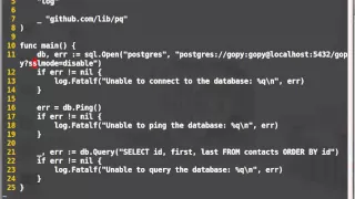 Using gopy to connect to PostgreSQL from Python without psycopg2