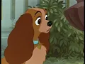 Lady and the Tramp I & II Music Video - Bella Notte