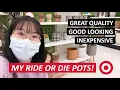 How Do I Use Self-Watering Pots My Ride or Die Plant Pots Are Back at Target