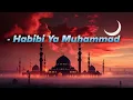 Download Lagu Habibi Ya Muhammad 