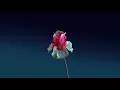 Flume & What So Not - Gemini ft  George Maple