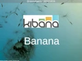 3 open source data visualization tools for Hadoop