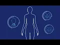 The Abortion Pill Planned Parenthood