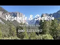 Dog-Friendly 2-Day Yosemite Sequoia National Forest Trip
