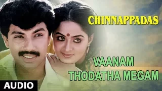vaanam thodatha megam song chinnappadas satyaraj radha ilayaraja tamil old songs